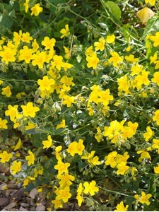 HELHYB05 12