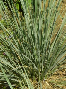 HELSEM00 16